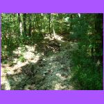 Dry River Bed 2.jpg